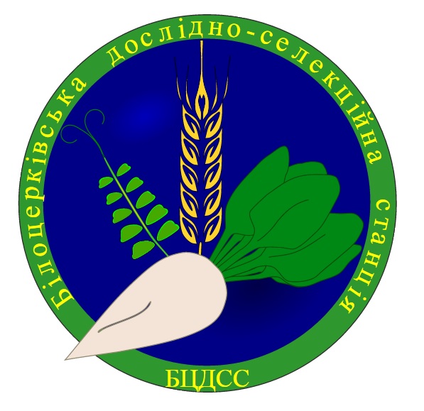 LogoBCDSS.jpg