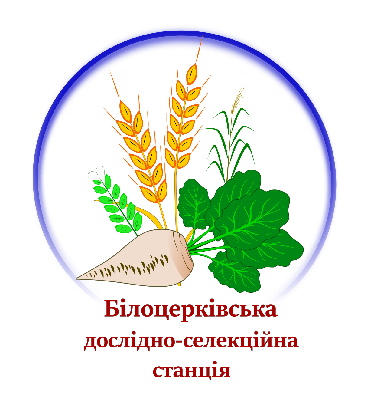 Логотип БЦДСС2ф.png