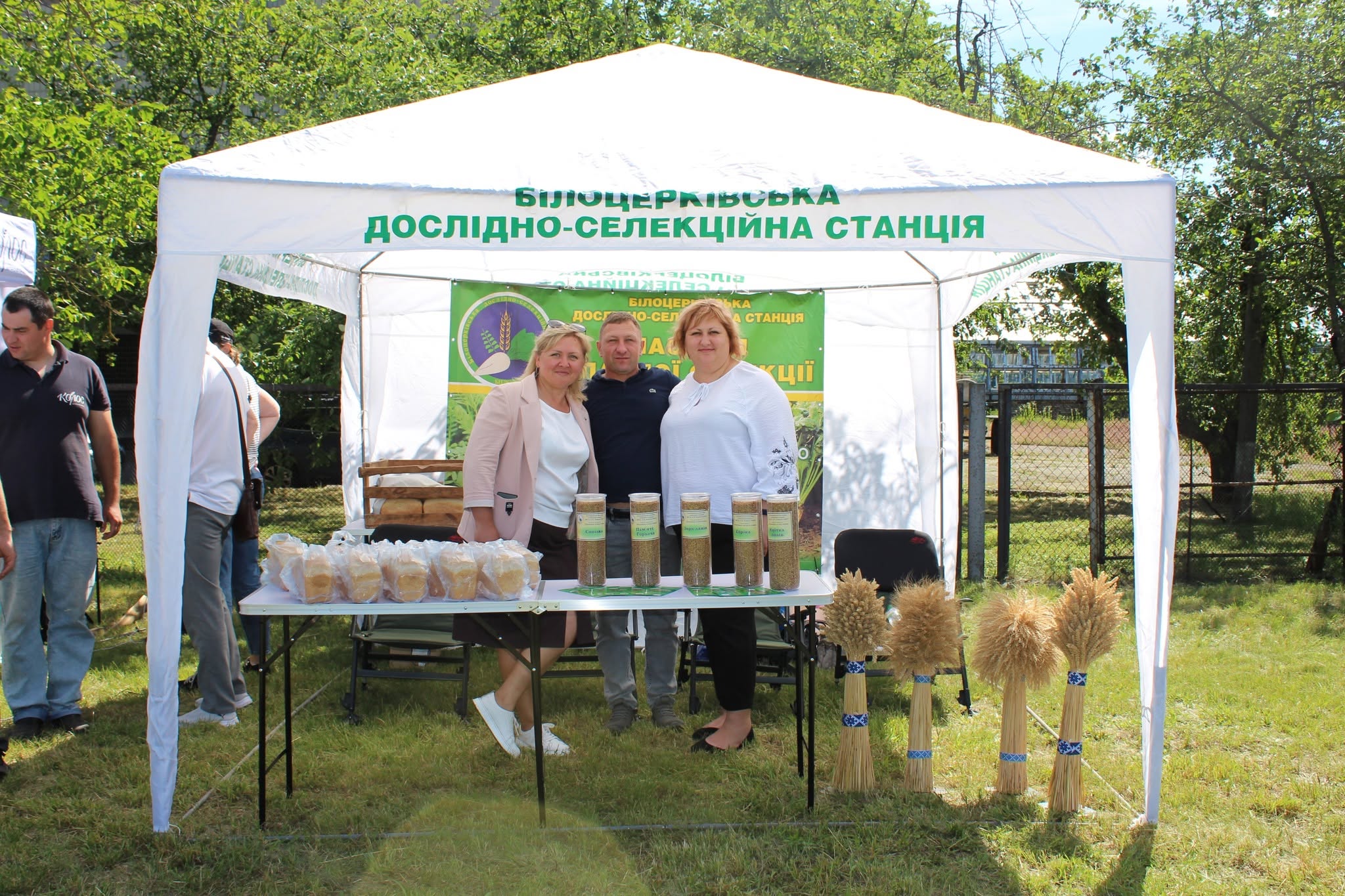 Миронівка 2026