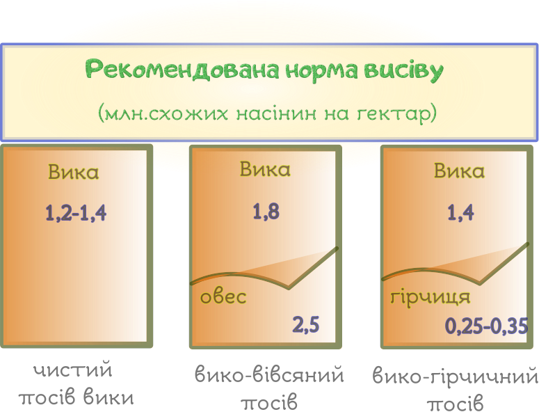 Норма висіву Озіряна